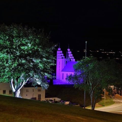 Akureyri church and tree.jpg