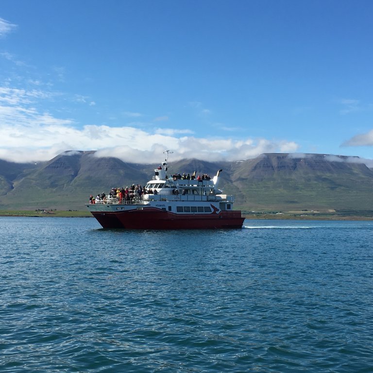 akureyri-whale-wathing-3-2017_08_02_1200_rib_manu9