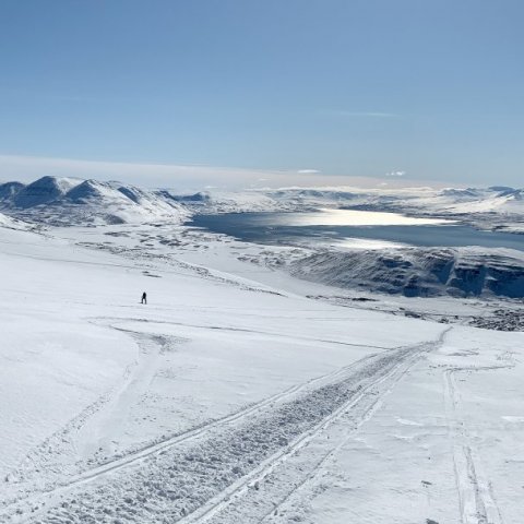 Skier on the way up Mt. Kaldbakur with the fjord 