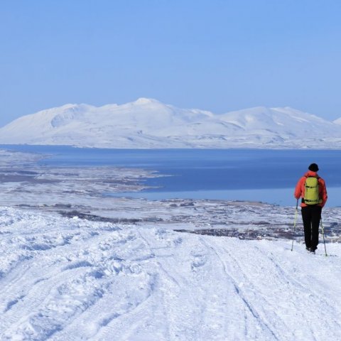 View out the fjord 