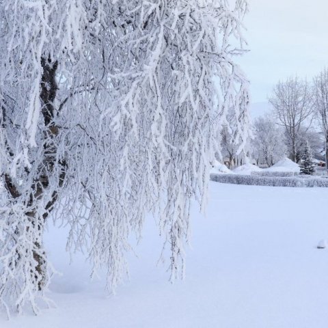 Eiðsvöllur park