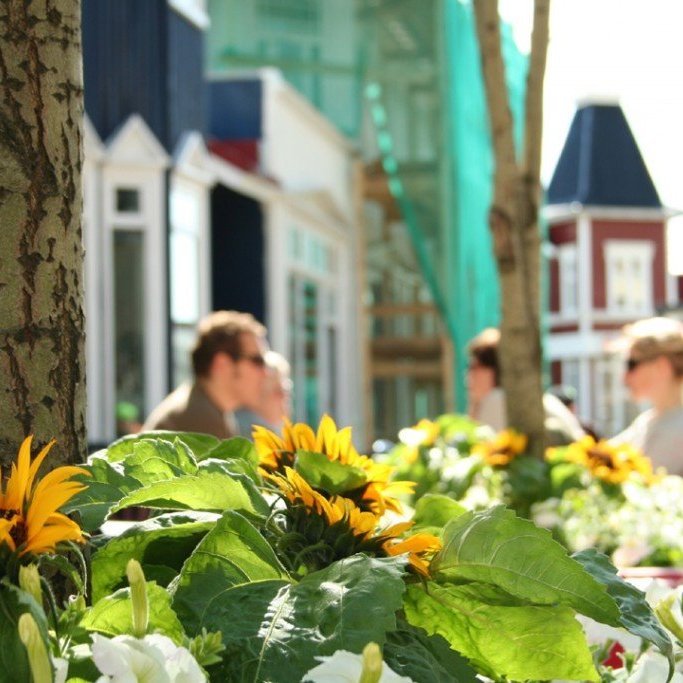 Mynd: Hrafnhildur Reykjalín Vigfúsdóttir.