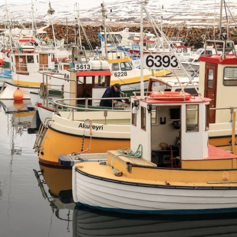 Small boat harbor 2