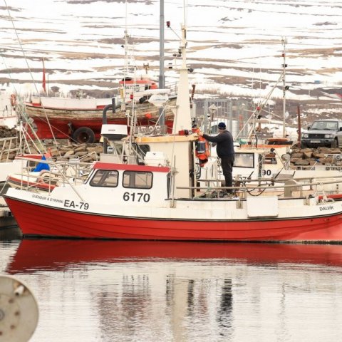 Small boat harbor 1