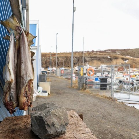 Small boat harbor 7