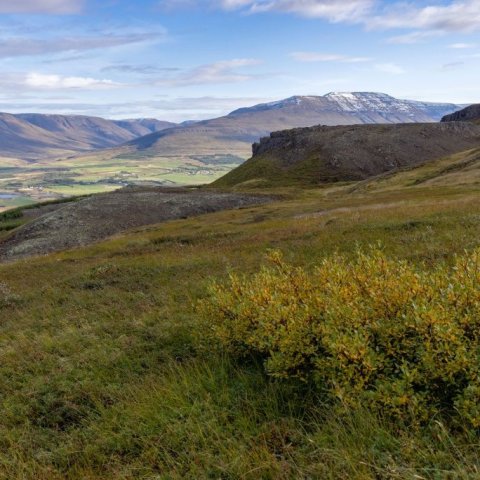 Mynd 12 - útsýni að Staðarbyggðarfjalli. María H. Tryggvadóttir