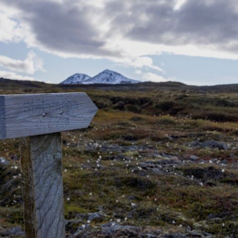 Mynd 14 - Skilti að Steinmönnum. María H. Tryggvadóttir