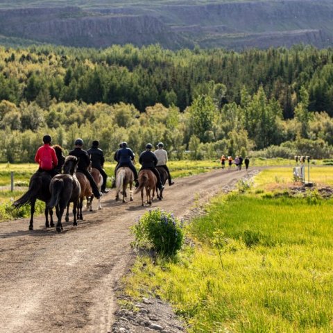 Riding towards the forest on the bridge west side.jpg