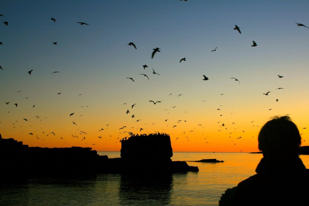 Photo: Valgerður Ósk Ómarsdóttir