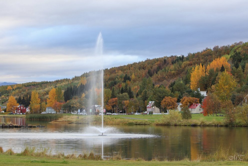 Photo: María Tryggvadóttir