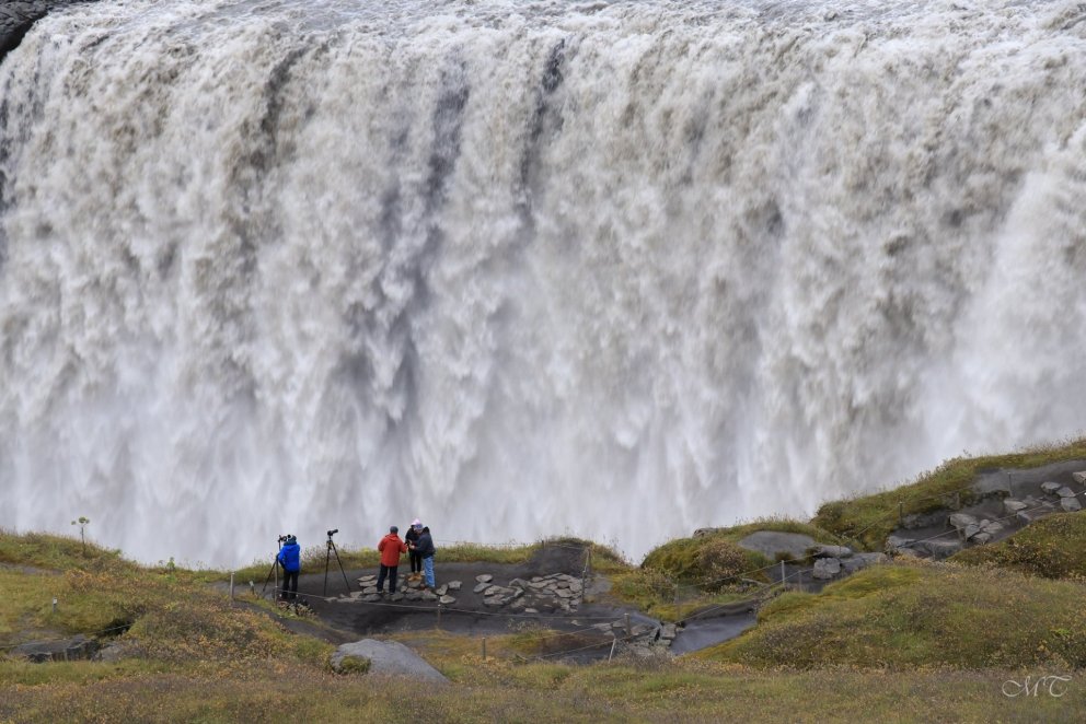 Photo: María H. Tryggvadóttir