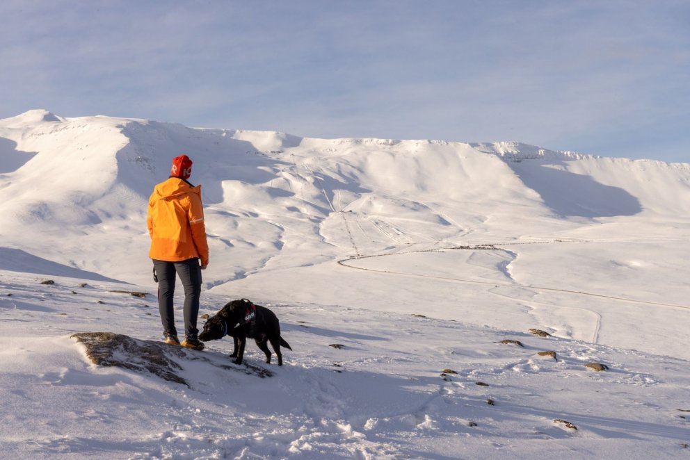 Photo María H. Tryggvadóttir