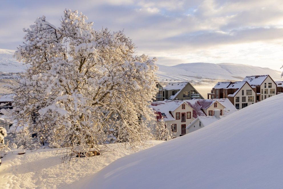 Photos: María H. Tryggvadóttir