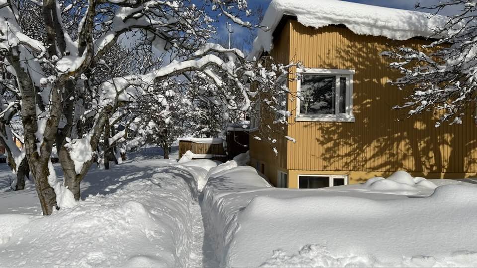 Photos: Laimonas Rimkus