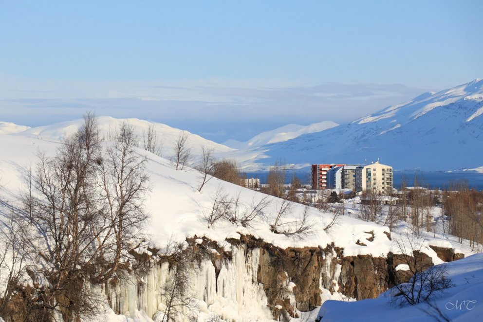 Photo: María Tryggvadóttir