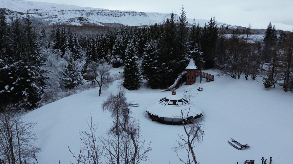 Photo: Sigurður Arnarson / Skógræktarfélag Eyfirðinga