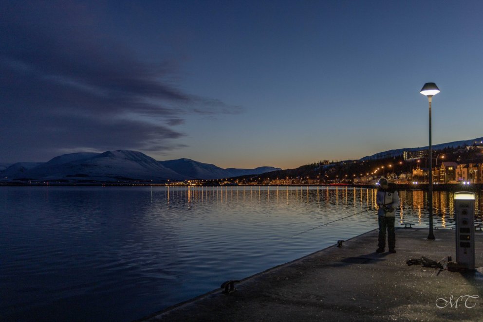 Photo: Maria H. Tryggvadóttir