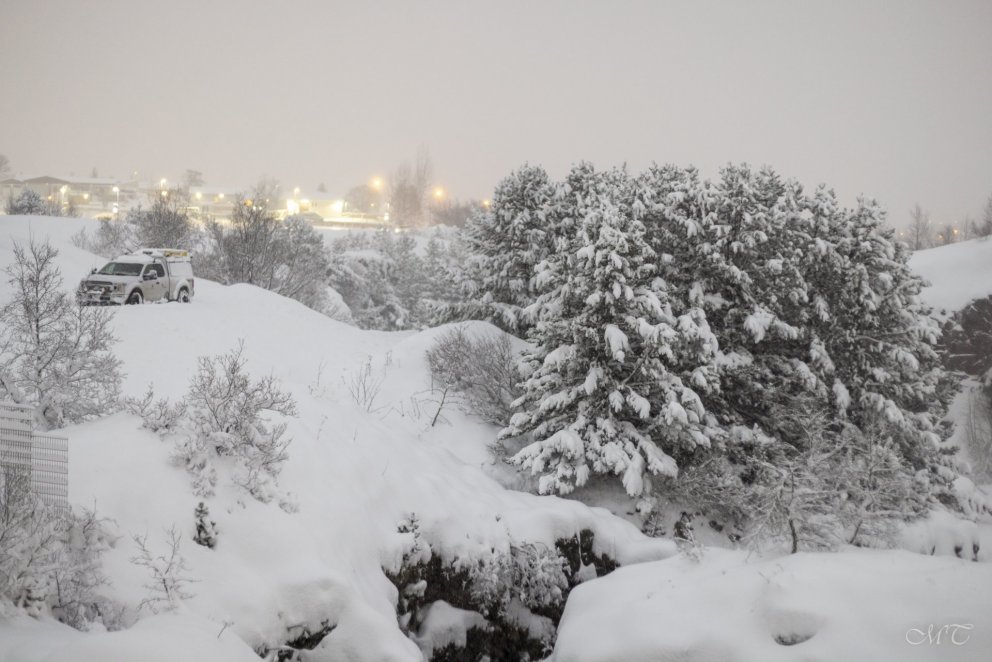 Photo: María H. Tryggvadóttir