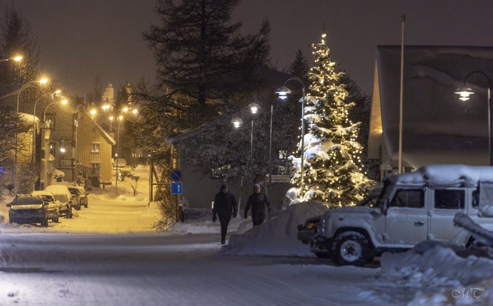 Photo: María H. Tryggvadóttir