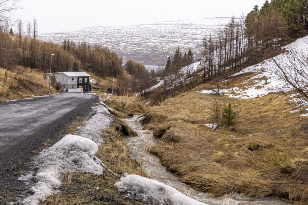 Photo: María H. Tryggvadóttir