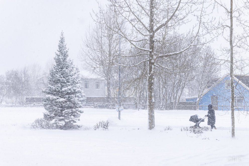 Photo: María H Tryggvadóttir