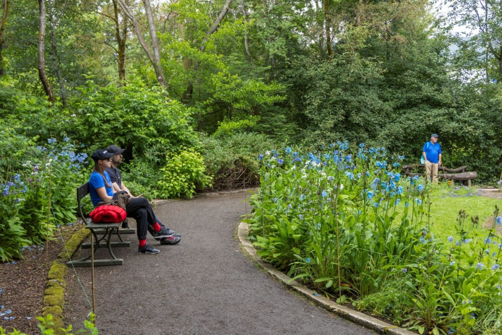 Photo: María H. Tryggvadóttir