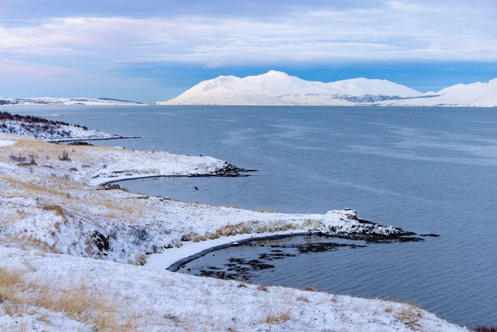 Photo: María H. Tryggvadóttir