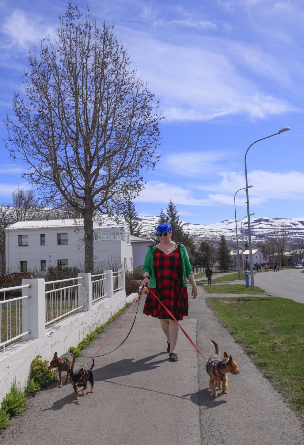 Photo: María H. Tryggvadóttir