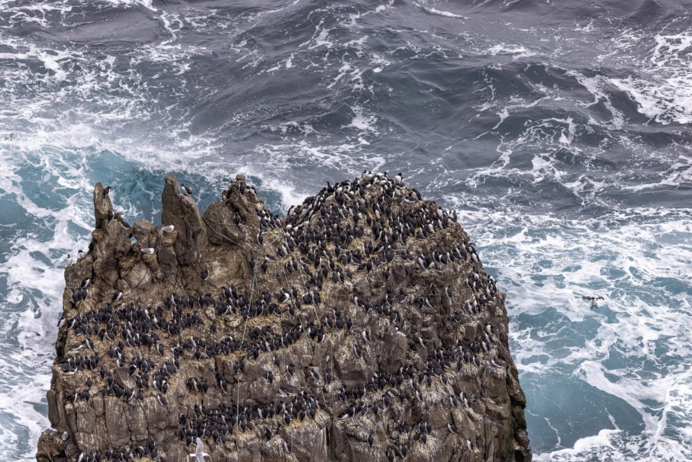 Photo: María H. Tryggvadóttir