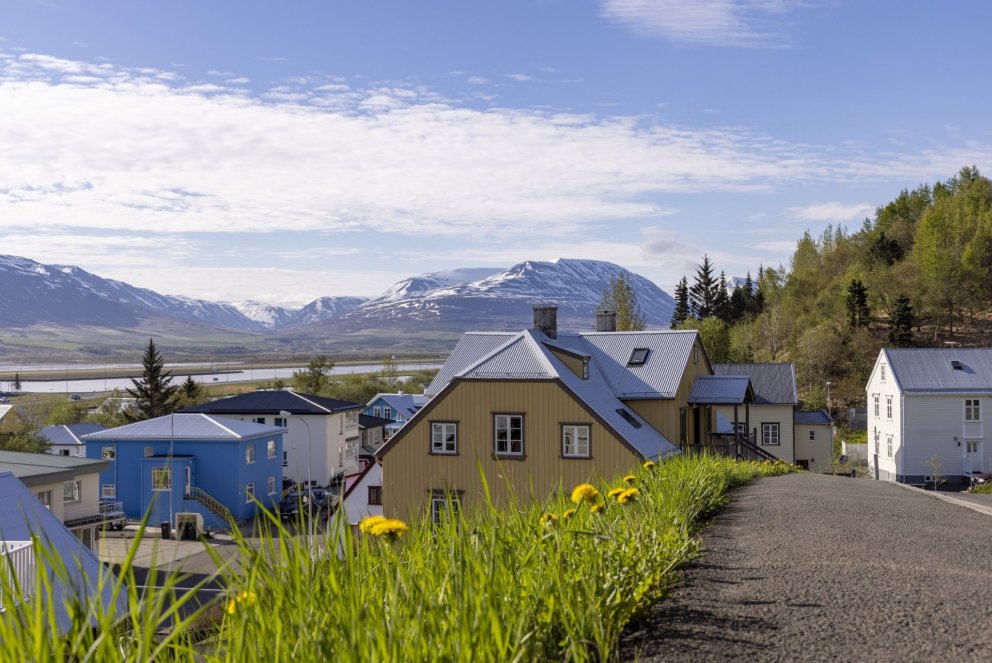 Photo: María H. Tryggvadóttir