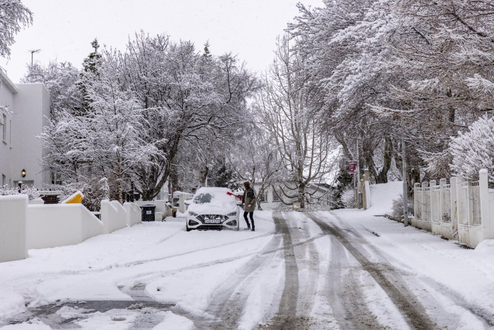 Photo: María H. Tryggvadóttir