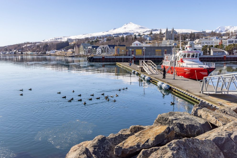 Photo: María H. Tryggvadóttir