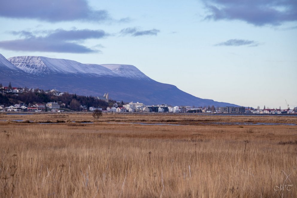 Photo: María Tryggvadóttir