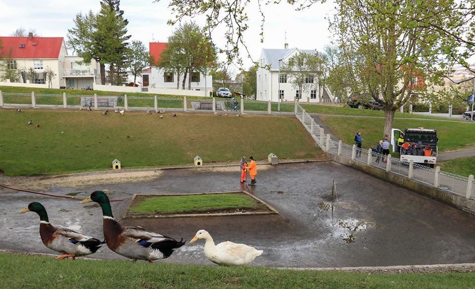 Photo Maria Tryggvadottir