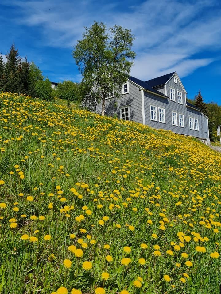 Photo: Kristín Aðalsteinsdóttir