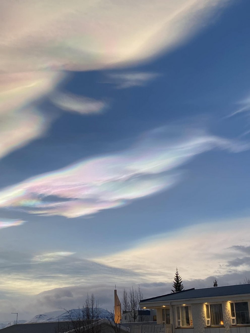 Photo: María H. Tryggvadottir