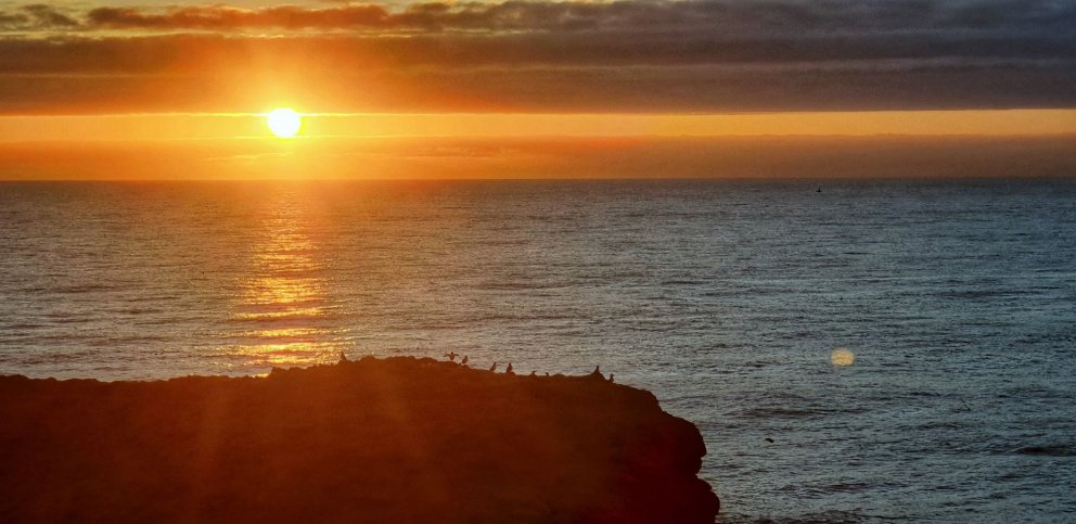 Photo: Guðrún Inga Hannesdóttir