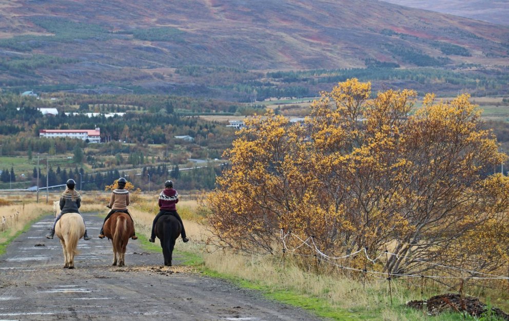 Photo: María H. Tryggvadóttir