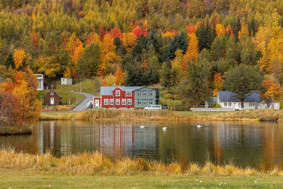 Photo: María H. Tryggvadóttir