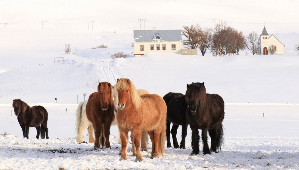 Photo: María Tryggvadóttir