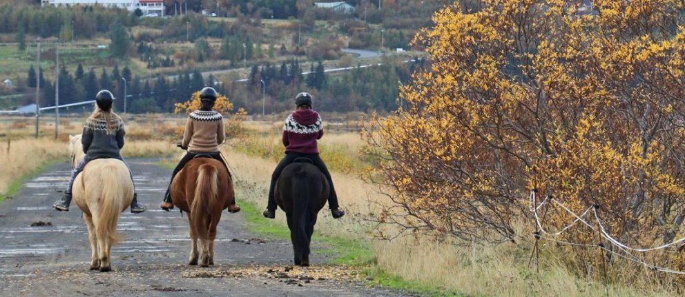 Photo: María H. Tryggvadóttir