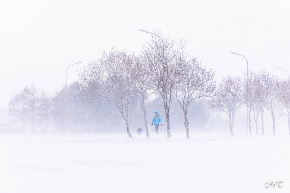 Photo: María Tryggvadóttir