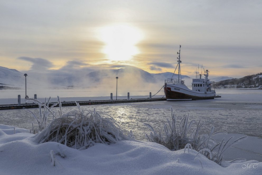 Photos: María H. Tryggvadóttir