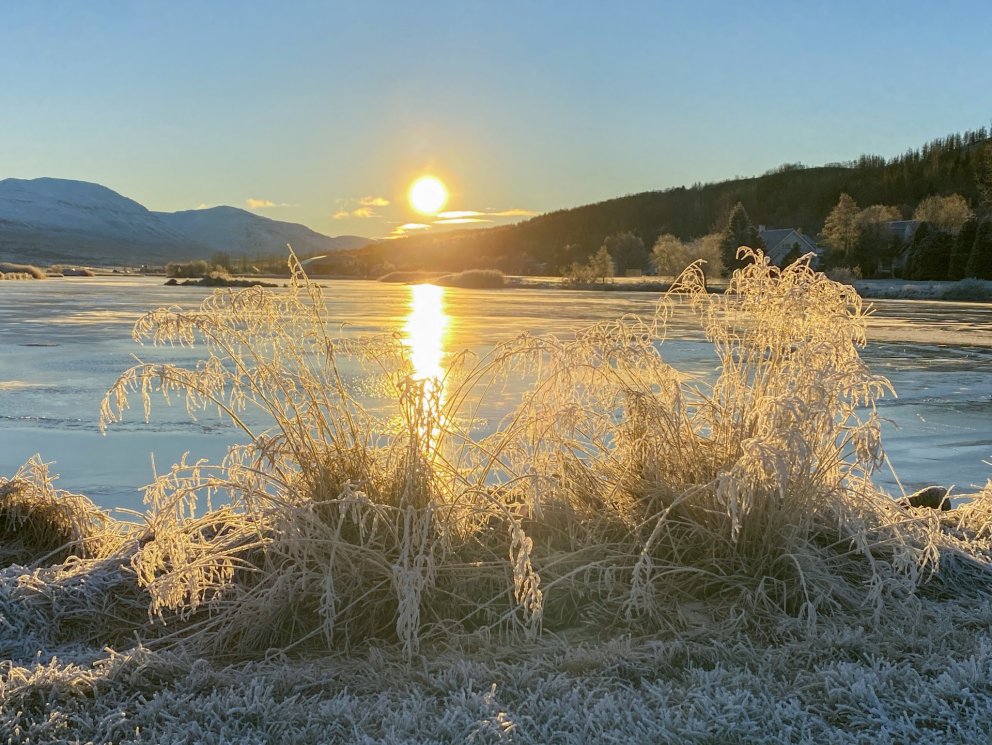 Photo: María H. Tryggvadóttir