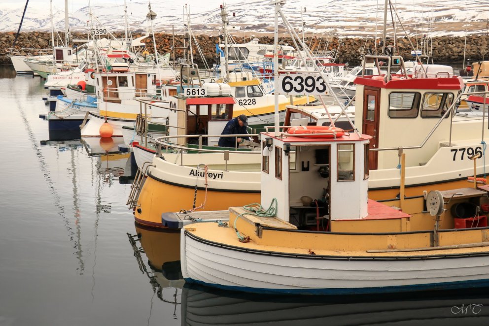 Photos: María H. Tryggvadóttir