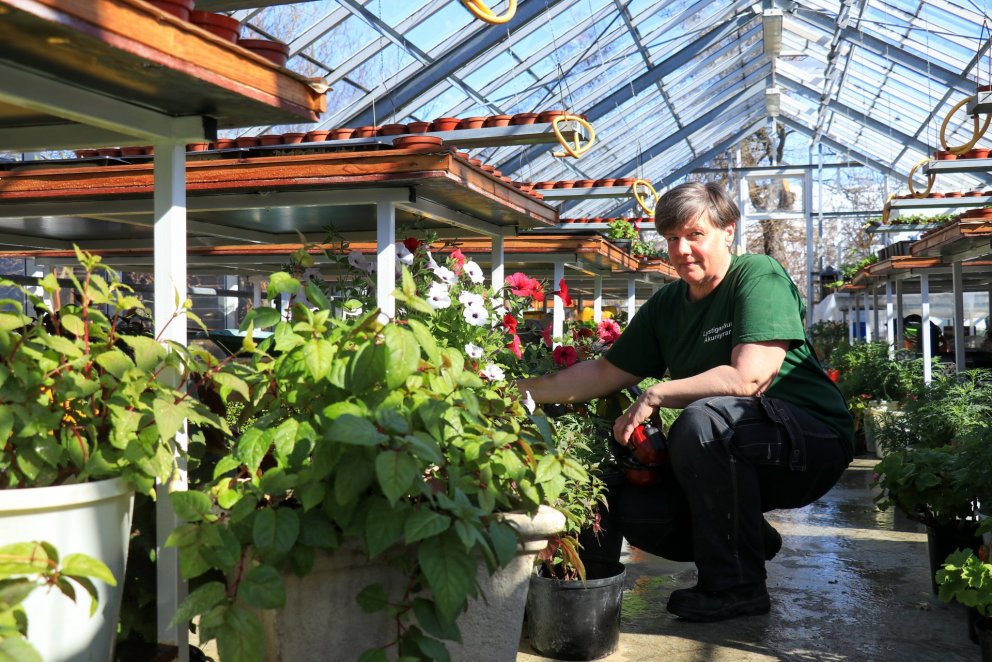 Photos: María H. Tryggvadóttir