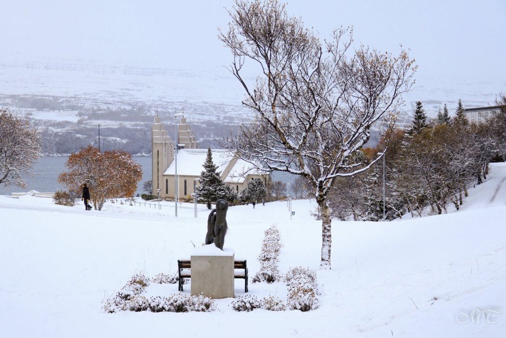 Winter Holiday in Schools