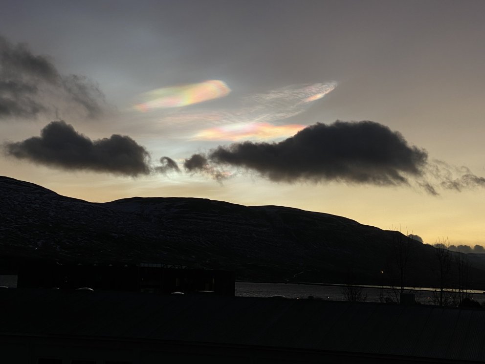 Photo: María H. Tryggvadóttir