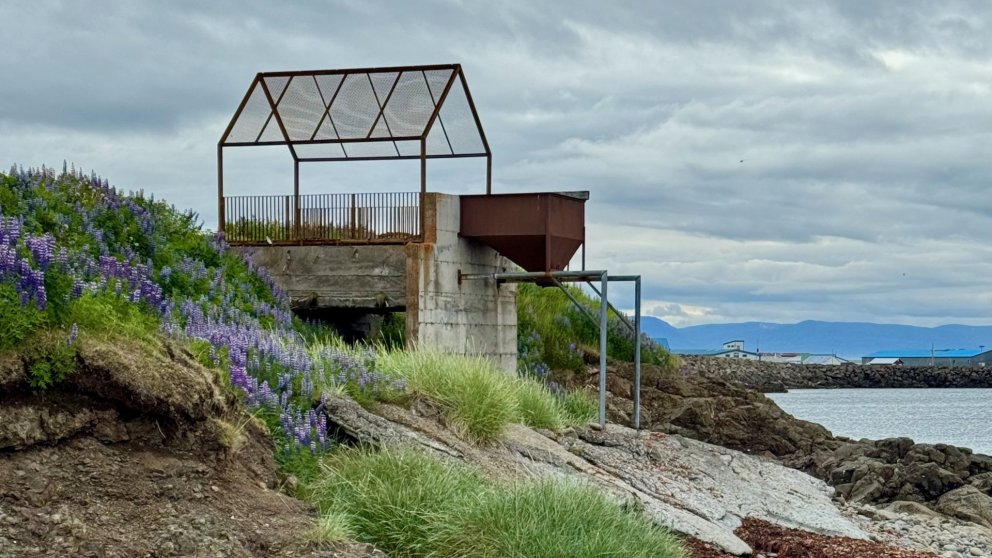 Photo by Guðný Pálína Sæmundsdóttir