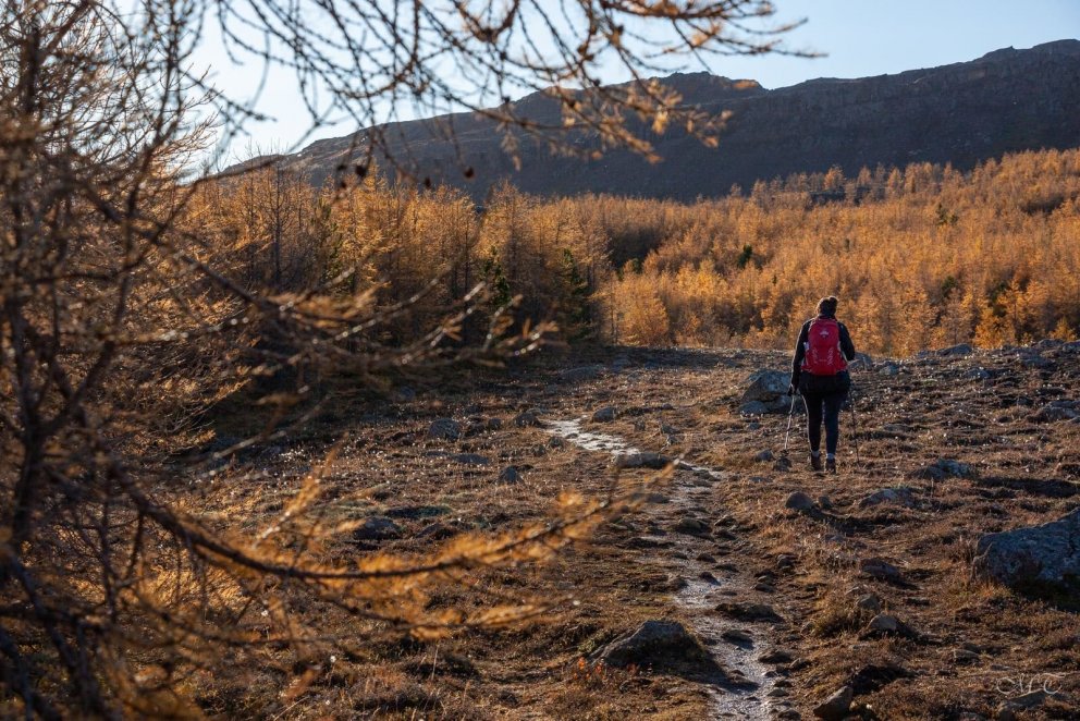Photo: María Tryggvadóttir